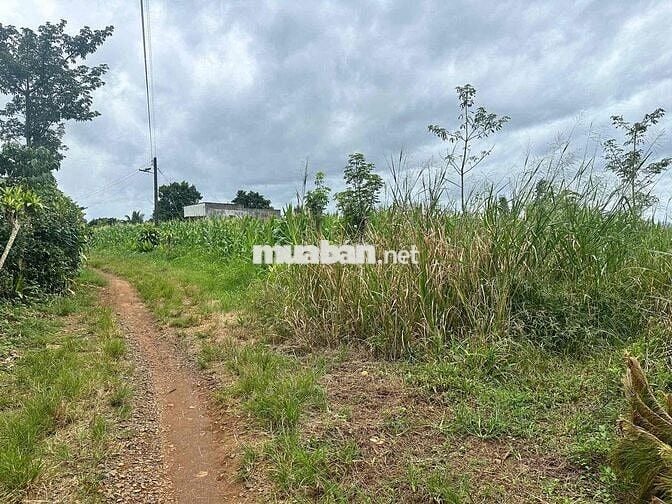 Lô đất 1785m2 giáp suối lớn nghỉ dưỡng 1000m2 thổ cư