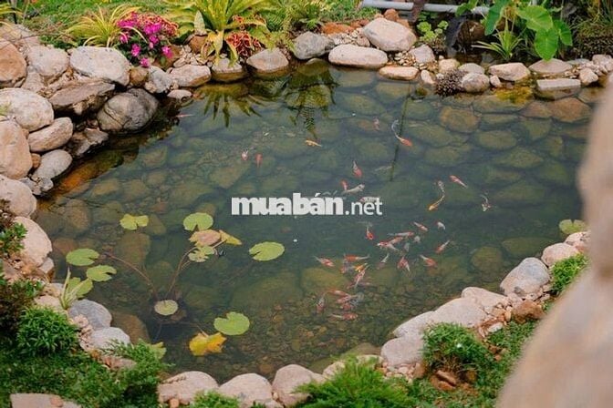 Aman Cloud - Chạm vào mây, Sống trọn an nhiên giữa cộng đồng tử tế