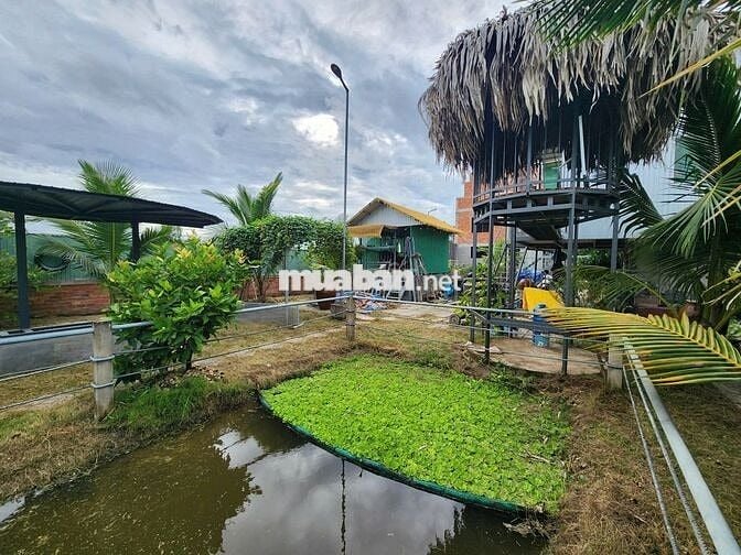 Còn 01 nền DT lớn 170m2 ĐÔNG PHÚ – CẦN THƠ GIÁ CHỈ 1/2 CỦA KHU DÂN CƯ!