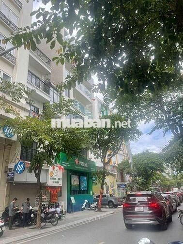 💎 KHÁCH SẠN PHỐ CỬA BẮC – VIEW- HỒ TÂY-DÒNG TIỀN 500TR/THÁNG, 165 tỷ 💎 KHÁCH SẠN PHỐ CỬA BẮC – VIEW- HỒ TÂY-DÒNG TIỀN 500TR/THÁNG, 165 tỷ