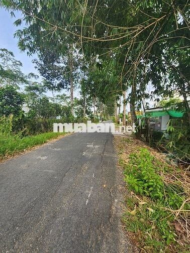 Còn 01 nền DT lớn 170m2 ĐÔNG PHÚ – CẦN THƠ GIÁ CHỈ 1/2 CỦA KHU DÂN CƯ!