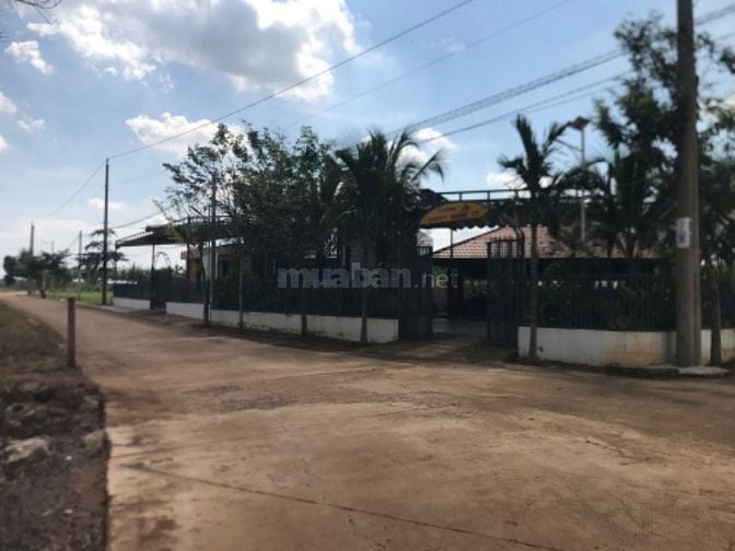 BÁN ĐẤT KHU CÔNG NGHIỆP MỚI ĐỒNG NAI