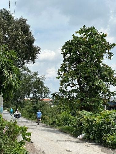 Bán gấp đất nền 150m2 tại Đường Vĩnh Lộc, Xã Vĩnh Lộc B, Bình Chánh, H