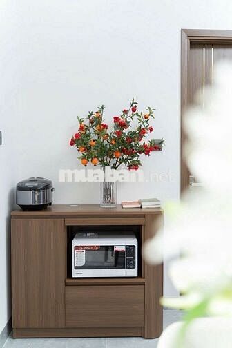 CĂN HỘ CHO THUÊ 2 PHÒNG NGỦ CAO CẤP
