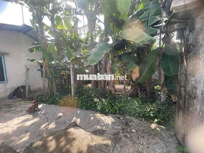 Đất bình nhâm  sổ riêng 68m2 chỉ 1ty1 gần p lái thiêu