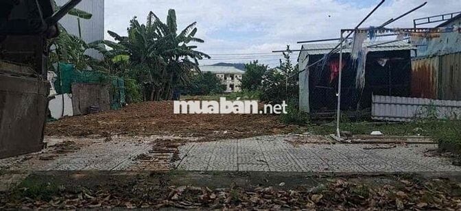 chủ cần  bán đất đường đà sơn 8  khu tái định cư đà sơn