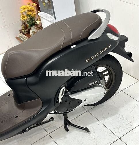 Scoopy Smarkey 2023
