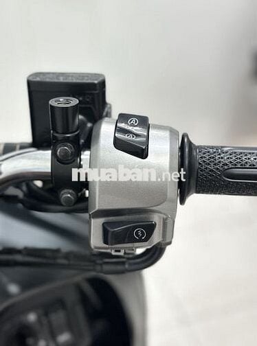 Scoopy Smarkey 2023