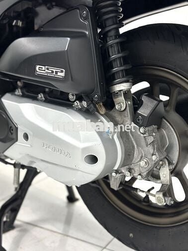 Scoopy Smarkey 2023