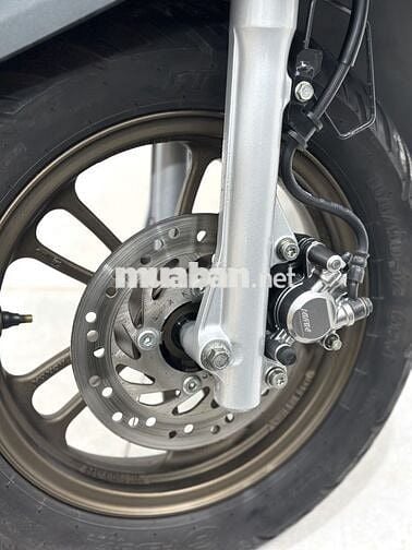 Scoopy Smarkey 2023