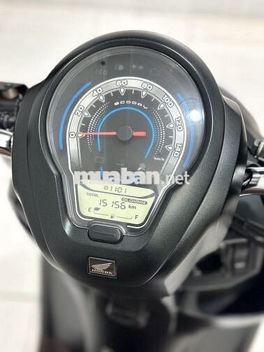 Scoopy Smarkey 2023