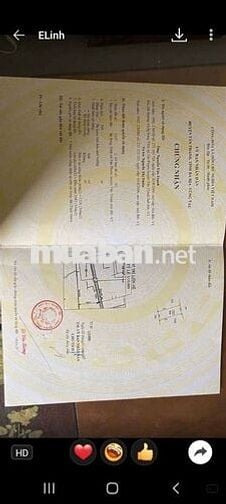 Đất đg Phạm Hồng Thái trung tâm tân phước phú mỹ,dt:10x32 giá 8.2ty