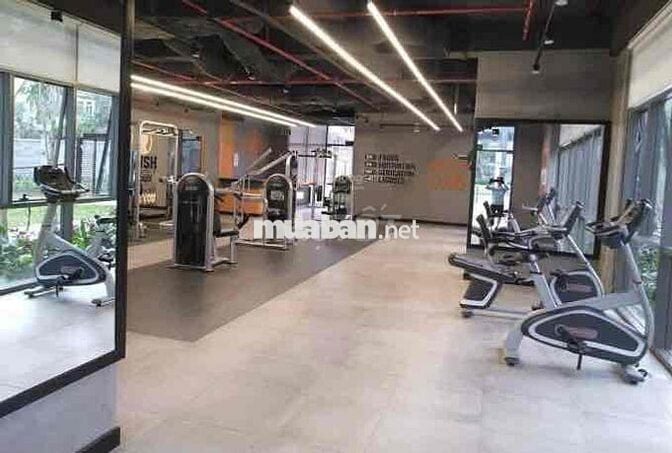 Căn hộ RichStar Tân Phú 2PN2WC full NT, view đẹp, có hồ bơi, gym-13tr