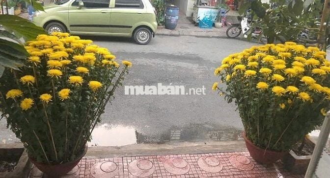 BÁN NHÀ CHÍNH CHỦ 152,6m2, Nhà ở + 12 Phòng trọ hiện cho thuê Full