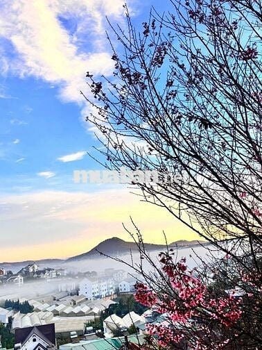 Cho thuê Villa nguyên căn trịnh hoài đức phường 11 Đà Lạt giá 12 triệu