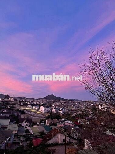 Cho thuê Villa nguyên căn trịnh hoài đức phường 11 Đà Lạt giá 12 triệu