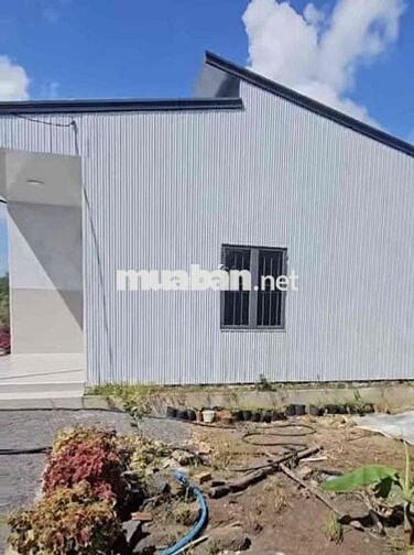 Bán gần 900m2 đất vườn sẵn 100m2 thổ cư,nhà cấp 4 ,tiếp giáp suối bên