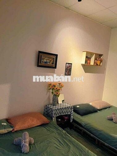 Cho thuê nhà nguyên căn đường Hải Thượng (cách cách chợ Đà Lạt 800m)