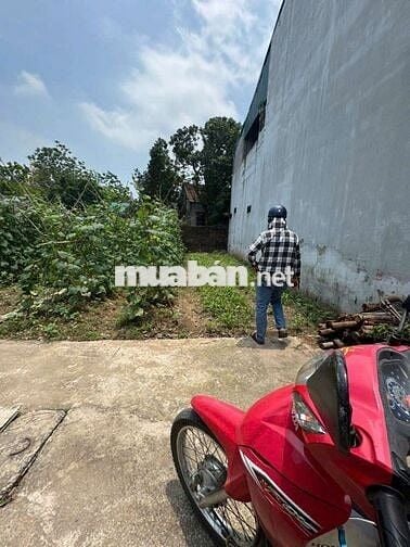 🔥 ĐẤT RẺ ĐẸP Sát Quốc LỘ 1A 👉 Mai xá - thắng lợi - thường tín - HÀ N