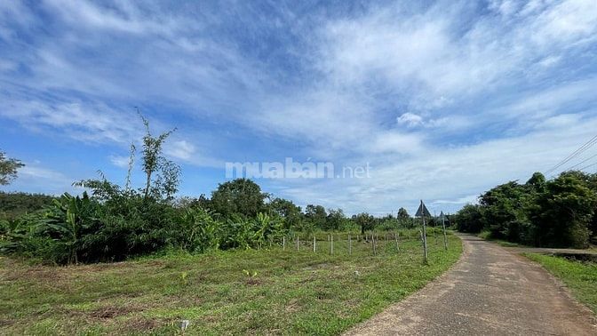 Đất ngộp giá rẻ thổ cư ven suối gần KCN, sát SB Long Thành chỉ 17km
