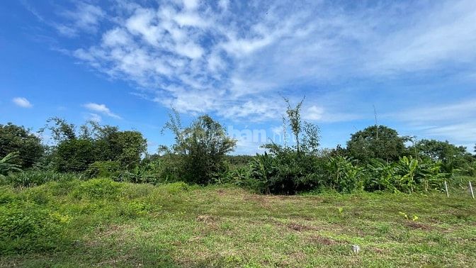 Đất ngộp giá rẻ thổ cư ven suối gần KCN, sát SB Long Thành chỉ 17km