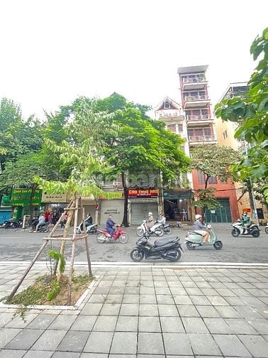 BÁn Nhà MP Thuỵ Khuê lo góc 66m2 mt 5,5 m x4 t giá 37,99 ty