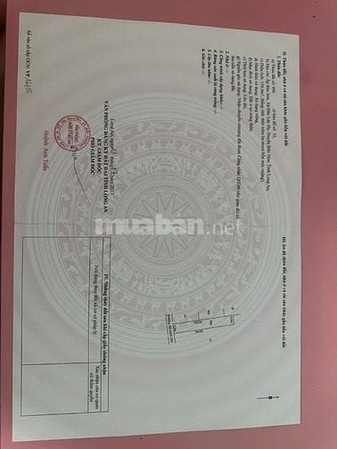 Chính chủ bán thông tin hình ảnh thật 100%