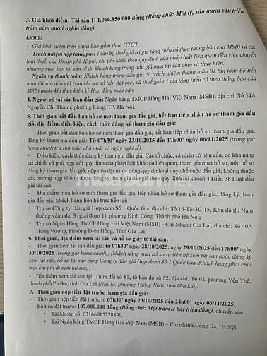 CÔNG TY ĐẤU GIÁ HỢP DANH SỐ 1 QUỐC GIA THÔNG BÁO BÁN ĐẤU GIÁ TÀI SẢN 