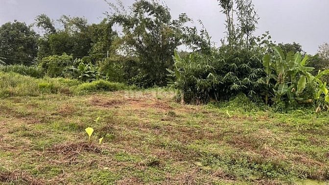 Bán Đất Thổ Cư Gần Sân Bay Long Thành. Giá 440Tr.