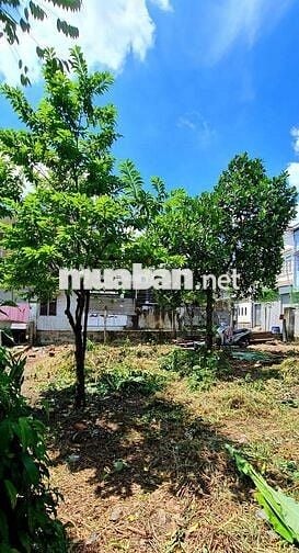 BÁN ĐẤT GÓC 2 MẶT TIỀN ĐƯỜNG NHỰA XE TẢI