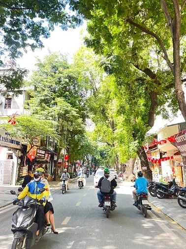 Bán Nhà PLo 49 Huỳnh Thúc Kháng 44m Lo góc5T oto 14,99 tỷ.