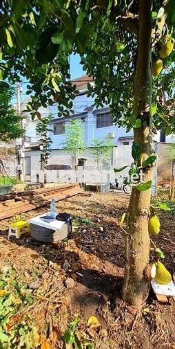 BÁN ĐẤT GÓC 2 MẶT TIỀN ĐƯỜNG NHỰA XE TẢI