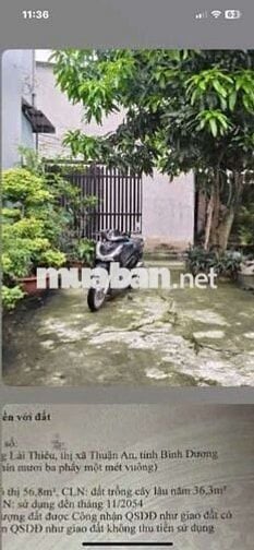 BÁN NHÀ CẤP 4 93M2 TIỆN XÂY MỚI SHR P LÁI THIÊU K GẦN NHÀ TRỌ