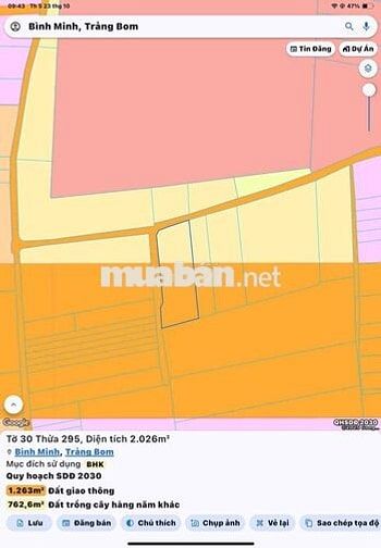 🏗️ Bán đất quy hoạch đường – 3 mặt tiền siêu đẹp tại Bình Minh