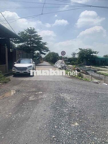 🏗️ Bán đất quy hoạch đường – 3 mặt tiền siêu đẹp tại Bình Minh