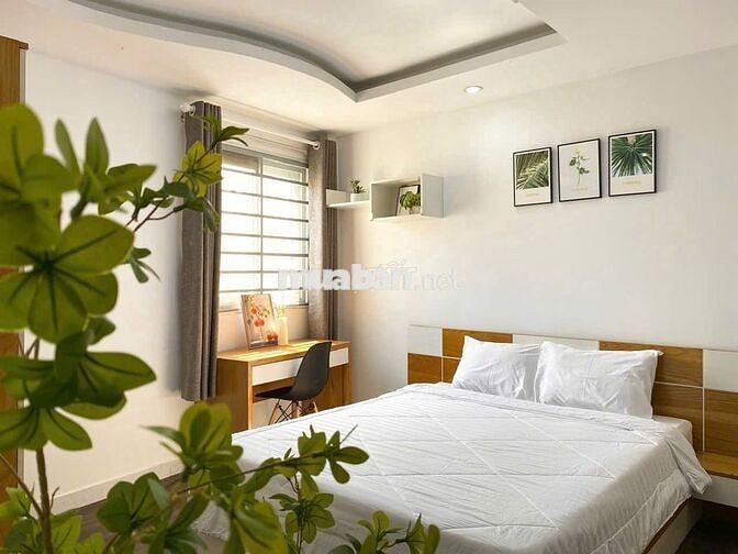 Studio Cửa Sổ Trời Siêu Thoáng – Khu Vòng Xoay Lăng Cha Cả, Tân Bình