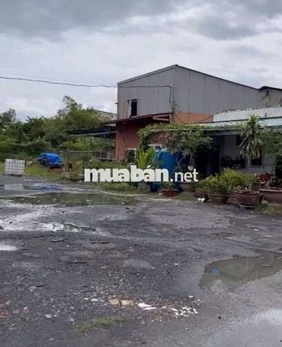 Kho đẹp cần cho thuê gấp ở Huỳnh Tấn Phát diện tích 800m2 có pccc