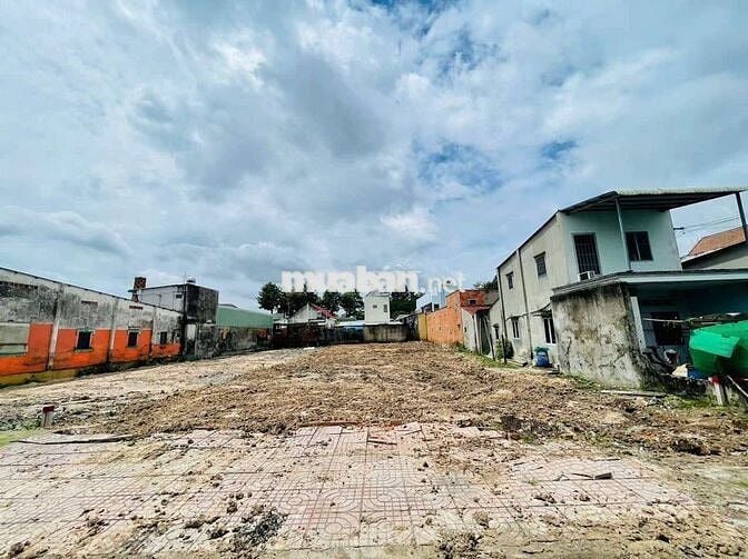Mặt tiền đường nhựa 10x27=227m2, xã Tân An Hội, Chủ Chi, SHR, 1 tỷ 3
