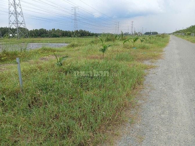 Chính chủ cần bán 376m2 đất lúa mặt tiền 48m tại Nhơn Trạch, Đồng Nai.