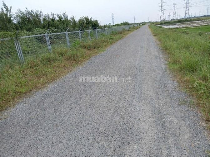 Chính chủ cần bán 376m2 đất lúa mặt tiền 48m tại Nhơn Trạch, Đồng Nai.