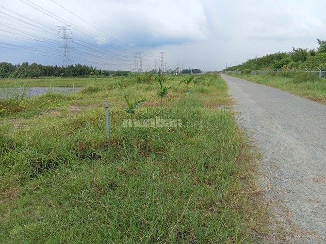 Chính chủ cần bán 376m2 đất lúa mặt tiền 48m tại Nhơn Trạch, Đồng Nai.