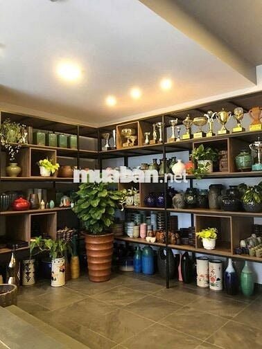 Bán Nhà Phố 161m2 Sẵn Dòng tiền 75tr/ tháng Trung Tâm Đà Lạt