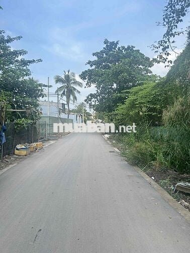 CHÍNH CHỦ BÁN ĐẤT-HẺM XE TẢI 5 TẤN -TAM BÌNH -1000m²(20x50) chỉ 9,9 ty