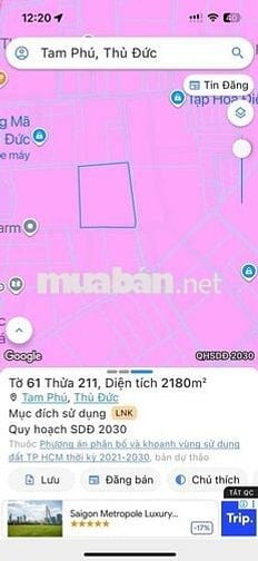 CHÍNH CHỦ BÁN ĐẤT-HẺM XE TẢI 5 TẤN -TAM BÌNH -1000m²(20x50) chỉ 9,9 ty