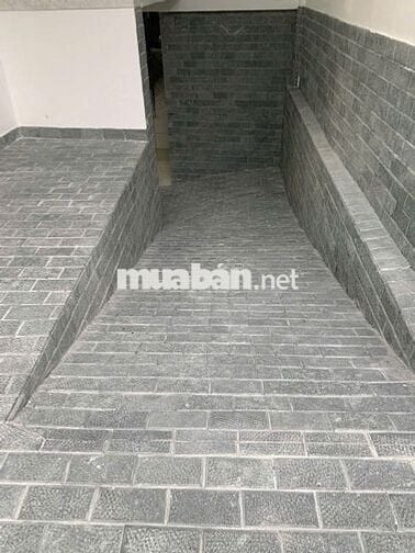 Cho Thuê Nhà Đường Lạc Long Quân, Tân Bình ( 10PN,10WC - Thang Máy )