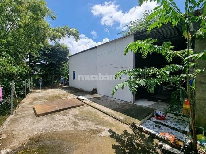 Nhà vườn mini, 200m2, Xã Tân Thông Hội, SHR, Giá 1 tỷ 200 bao phí thuế