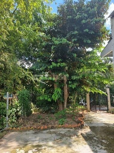Nhà vườn mini, 200m2, Xã Tân Thông Hội, SHR, Giá 1 tỷ 200 bao phí thuế