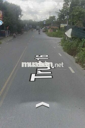 Lo Góc kinh doanh siêu ngon ngay trục đường 16 hơn 5000m2 thổ cư thơm