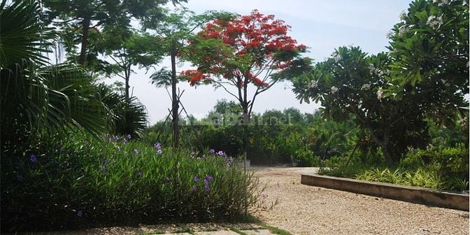 HÀNG HÓT! ĐẤT BCR- TAM ĐA, GẦN VIN. DT: 120- 500M2, CHỈ 36 TR/M2. 
