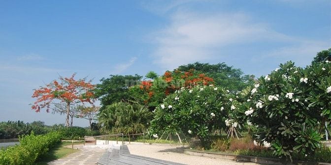 HÀNG HÓT! ĐẤT BCR- TAM ĐA, GẦN VIN. DT: 120- 500M2, CHỈ 36 TR/M2. 